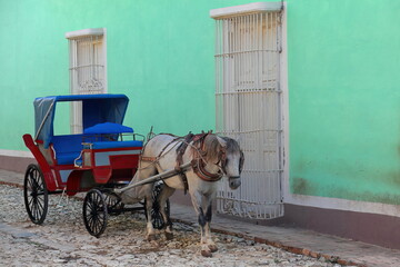 Colonial horse carriage for tourist tours around the cobbled streets of the city center waiting for...