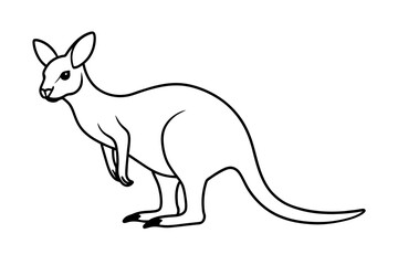 wallaby line art silhouette illustration