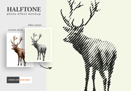 Halftone Photo Effect Mockup