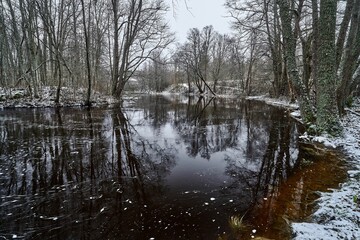the pond in the woods is very cold and is filled with snow: Vantaa