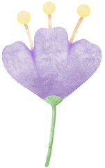 Purple Flower Blooming Watercolors