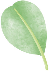 Green Leaf Watercolors 2