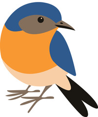 baby cute colorful bird vector illustration icon