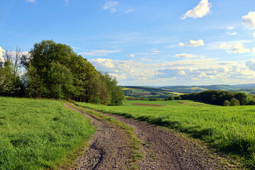 Landschaft an einem Feldweg im Nordpfälzer Bergland in der Nähe von Föckelberg im Landkreis Kusel im deutschen Bundesland Rheinland-Pfalz. Aussicht vom Premium-Wanderweg  Potzberg Wanderweg. 