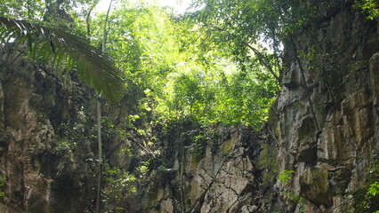 A surface side of a limestone mountain with greenery growing on top of the surface; nature photography; 