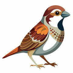 sparrow-vector-illustration and graphic recourse 