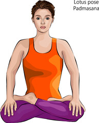 Young woman practicing Padmasana yoga pose.Lotus pose. Intermediate Difficulty. Isolated vector illustration.