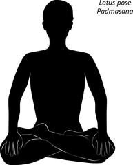 Silhouette of young woman practicing Padmasana yoga pose.Lotus pose. Intermediate Difficulty. Isolated vector illustration