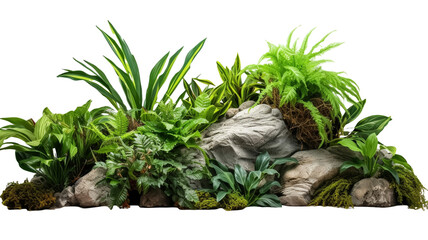 Tropics green plants gardening with nature rock isolated on transparent png background.

