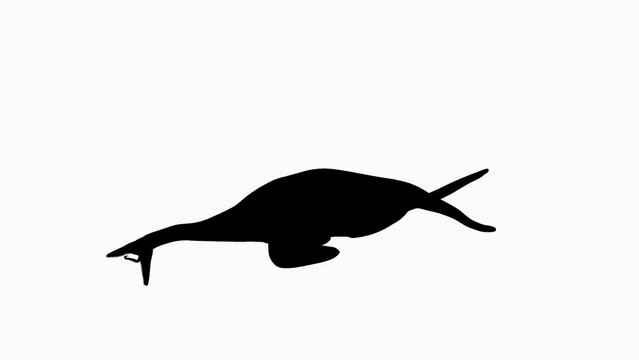 Silhouette of an Ichthyosaur on White Background. Mask. Alpha Channel.