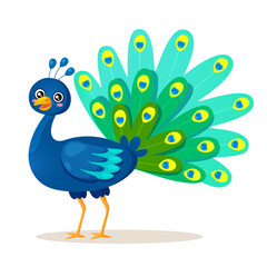 Cute peacock bird cartoon character with beautiful feathers tail isolated on white background.
