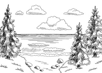 Fir on the sea coast graphic black white landscape sketch illustration vector 