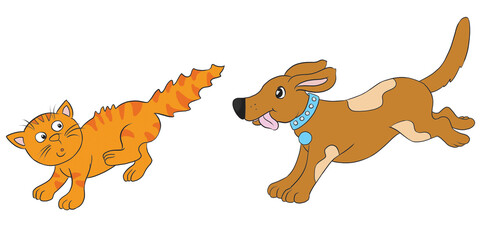 The dog chasing the cat.