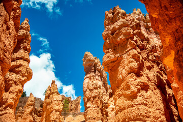 Amazing landscape of Bryce Canyon National Park in summer season, Utah