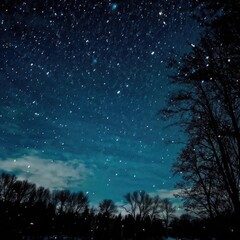 Naklejka premium Magical Winter Night with Starry Sky Over Snowy Landscape