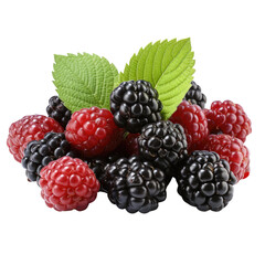 A handful of fresh, ripe blackberries and raspberries isolated on a white background.