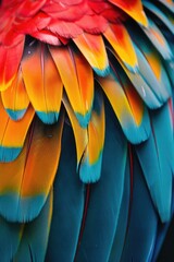 Fototapeta premium colorful leaves, exotic tropical leaves, multi-colored