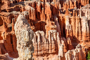 Amazing landscape of Bryce Canyon National Park in summer season, Utah