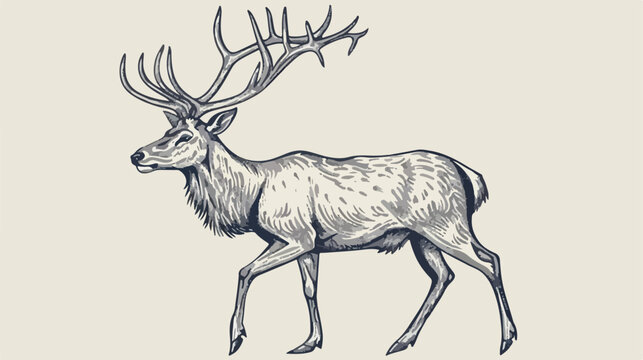 recommend clip art: Outline drawing of walking male deer reindeer hart or