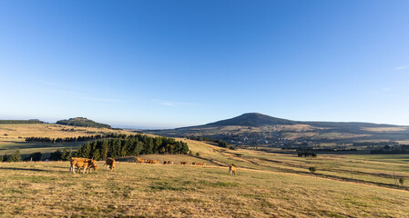 Mont d'Alambre à côté du Mont Mézenc aux Estables en Haute Loire, paysage volcanique en été...