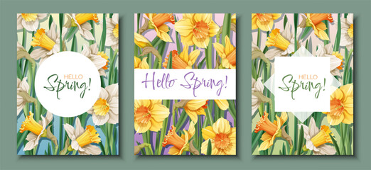 Set of Greeting card templates with spring flowers. Banner, poster with daffodils. Easter illustration of delicate flowers in cartoon style for card, invitation, background, etc.