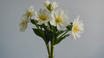 Beautiful bouquet of Christmas hellebore flower in a small glass vase. Floral still life concept. Home natural decoration.
