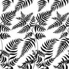 a black and white photo of leaves