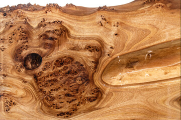 Texture of elm burl slab table top with inner knot in bizarre pattern as background