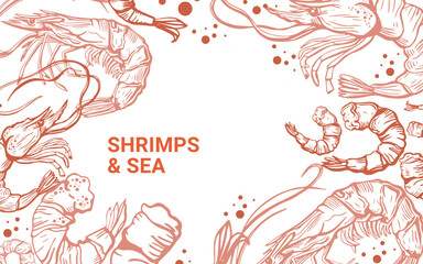 Hand drawn isolated vector set of shrimps and prawns. Shrimps and langoustines on a white background.. Seafood, food vintage illustration. Design template. 
