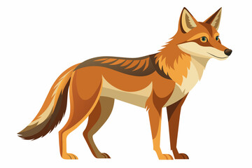 coyote cartoon vector illustration