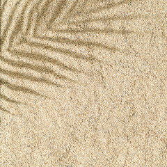 Tropical palm tree leaf shadow on beach sand background. Minimal summer concept. An original background image with a play of light and shadow. Creative copy space. Summer aesthetic. Exotic flat lay.