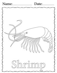 Shrimp Coloring Page. Printable Coloring Worksheet for Kids. Educational Resources for School and Preschool.