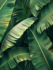 Vibrant Tropical Banana Leaves Pattern Close-up