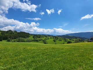 field and blue sky