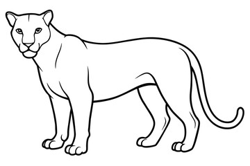 lion line art silhouette illustration