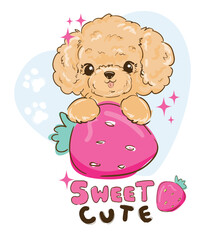 Hand drawn maltipoo dog, Cute Poodle vector illustration, kids trend print design