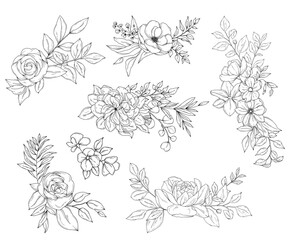 Botanical line arts, hand drawn bouquets of flowers, leaves and branches, vector illustration