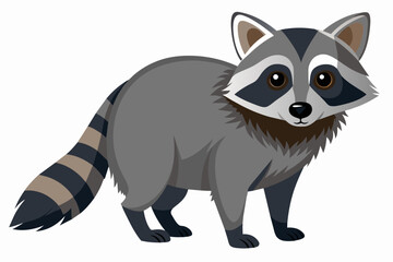raccoon cartoon vector illustration