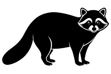 raccoon line art silhouette illustration