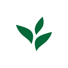 Obraz premium leaf logo icon