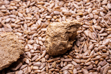 sunflower seeds, peeled, for eating or cooking desserts and other dishes