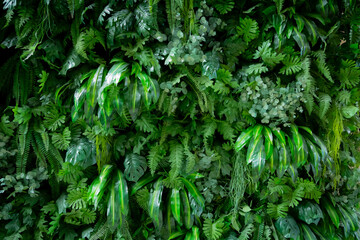 New wall decoration using artificial plants to make a wall of vertical plants. Gives a feeling of being close to nature and easy to take care of.