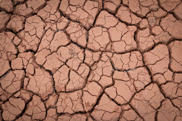 The red soil is cracked and cracked from drought and pollution.