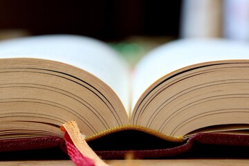 Vielfalt des Buches und der Literaturals Wissensquelle und Unterhaltungsmedium 