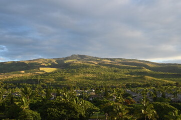 Obraz premium ハワイ