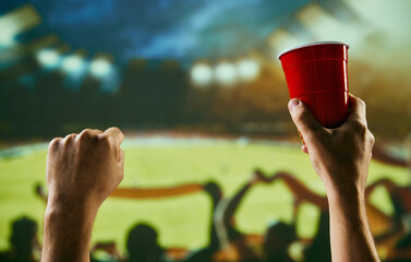 People, sport fans gathering at stadium to watch football competition, supporting team, drinking...