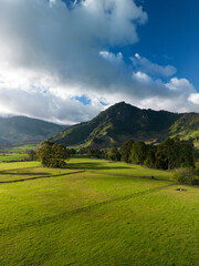 Fototapeta premium Aerial view of Thoroughbred racing horses ranch on sunny day, Chiriqui, Panama - stock photo