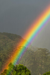Rainbow over Volcan Baru National Park Cloud Forest, Boquete, Panama, Central America - stock photo