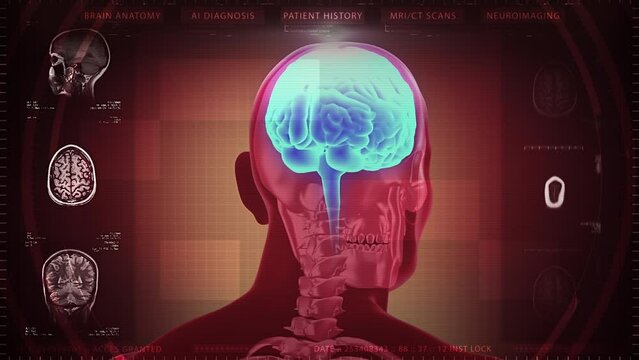 High Tech Interface 3D Human Body, Brain And MRI. Electrical Impulses Shinning inside the brain. Synapse, Neuroimaging, Artificial Intelligence Brain Mapping.