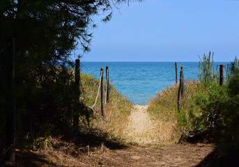 Obraz premium stara che conduce a Spiaggia selvaggia italiana durante i primi giorni di estate in una calda e soleggiata mattina 